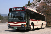 路線タイプ大型バス（55名乗り）