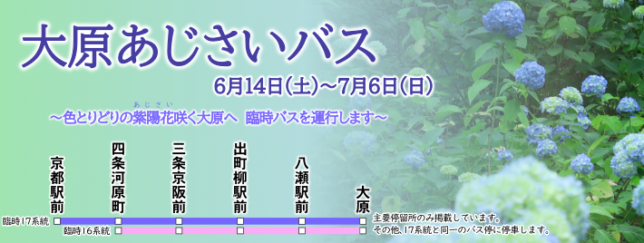 ohara_ajisai.png