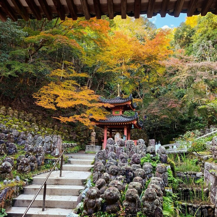 愛宕念仏寺の写真